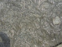 /album/galeria-de-fotos-granito/granito-blue-night-jpg/